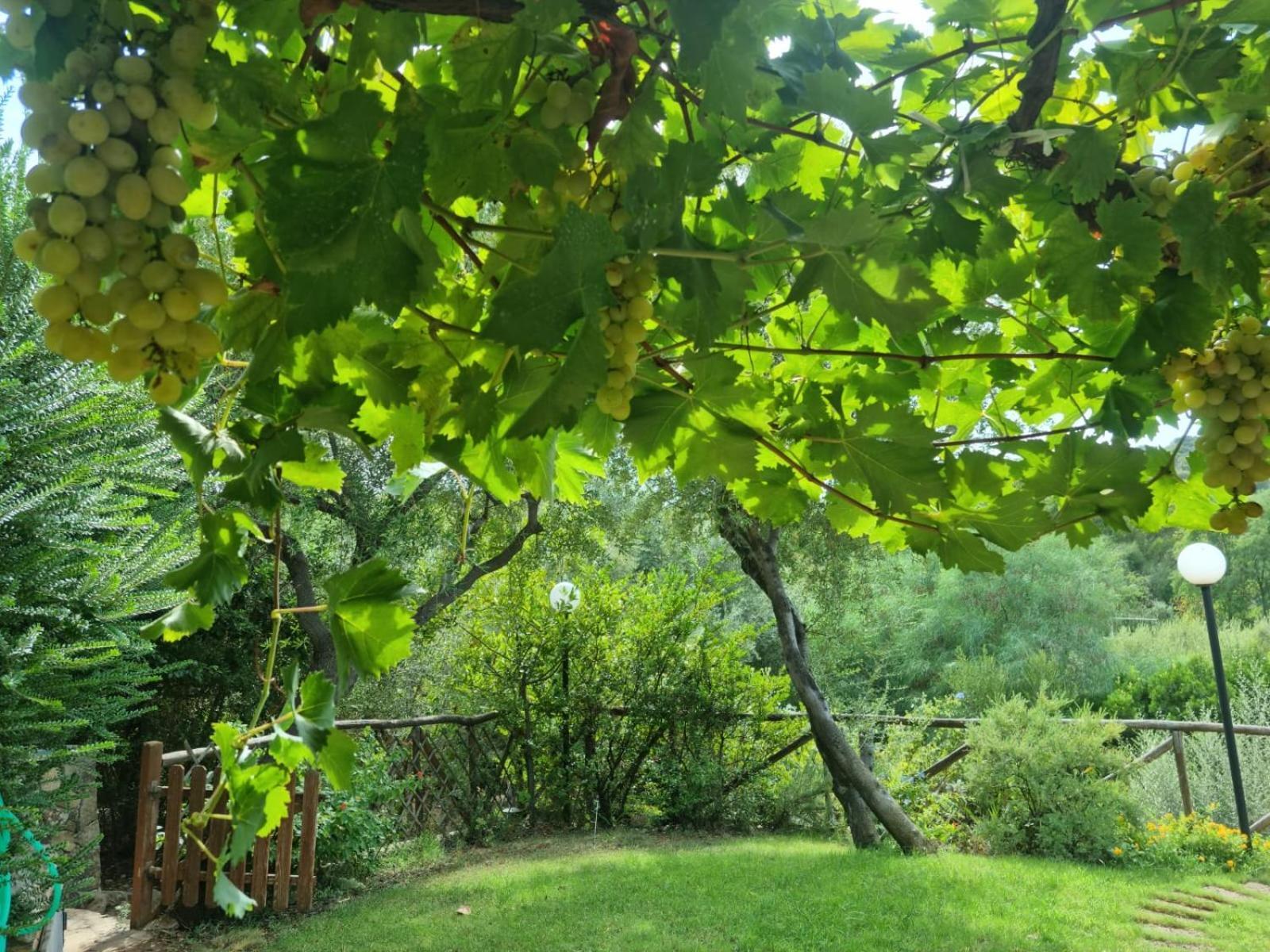 Verde e Mare Villasimius Esterno foto